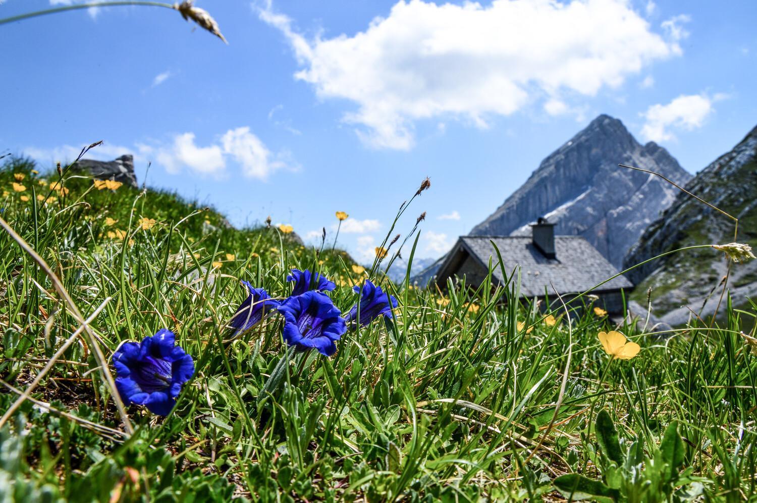 Design Ferienwohnung Koenigssee Schönau am Königssee Екстериор снимка